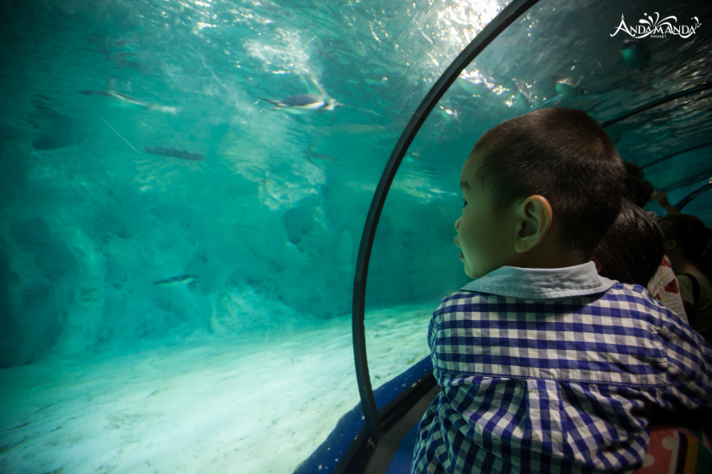 อควาเรีย ภูเก็ต