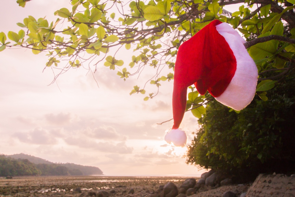 A Santa hat hangs off a tree branch on a Phuket beach
