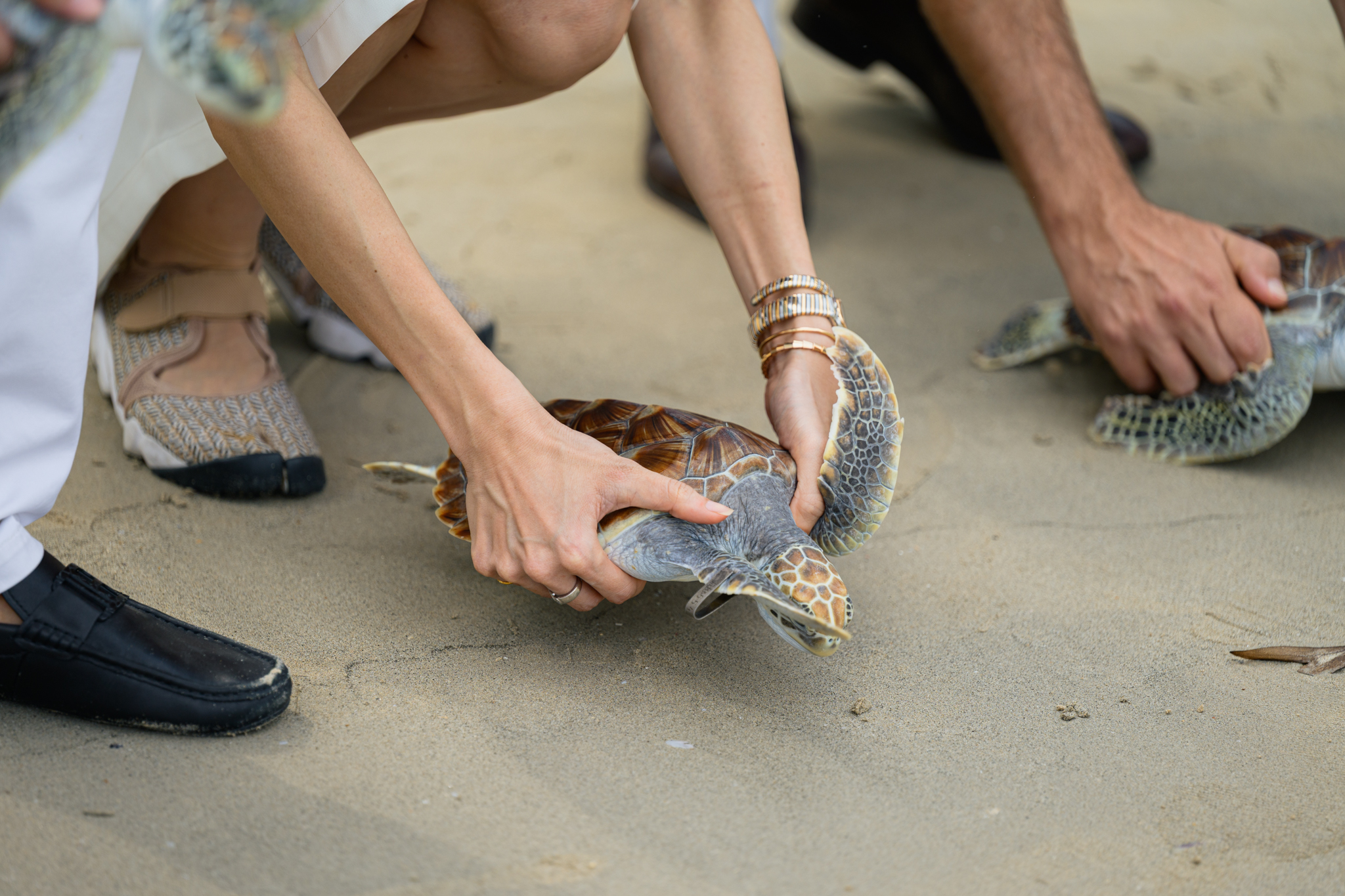 Go Zero Waste, Save Our Ocean Project2026-2