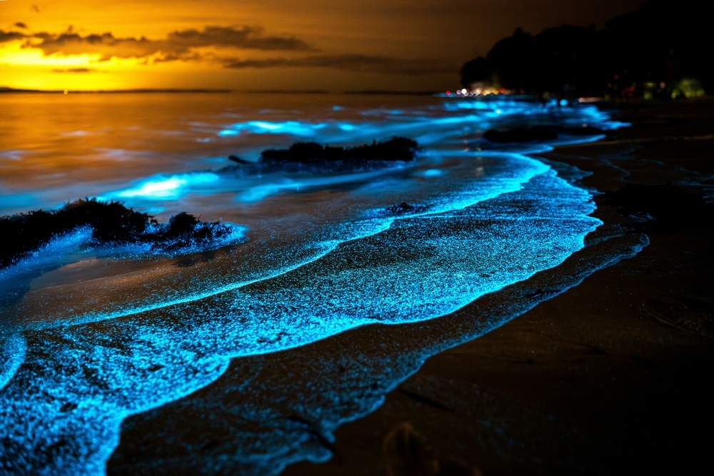 Waves crash on a beach, bringing bioluminescent plankton in dazzling blue