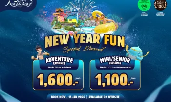 New Year Fun Special Discount