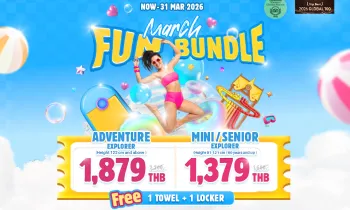 March Fun Bundle