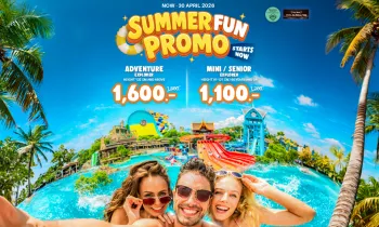 Summer Fun Promo