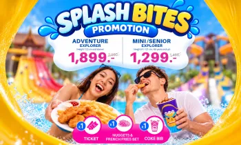 SPLASH BITES PROMOTION