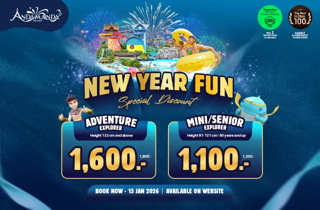 New Year Fun Special Discount
